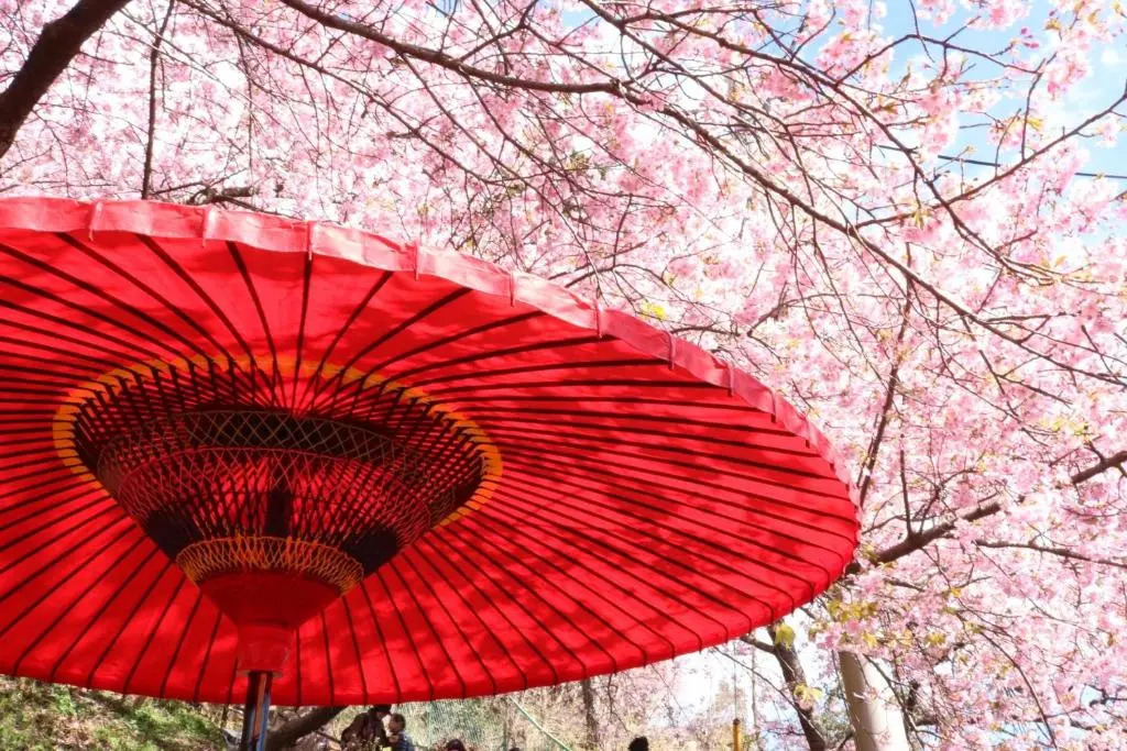 Stay SAKURA Kyoto Kiyomizu Ougi