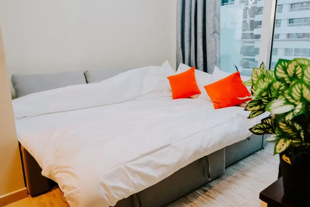 ZAPBED House  REV 706