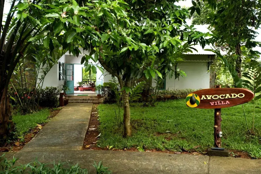 Madagui Forest City