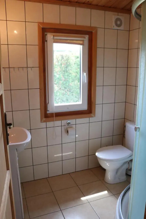 Koło Żółwia