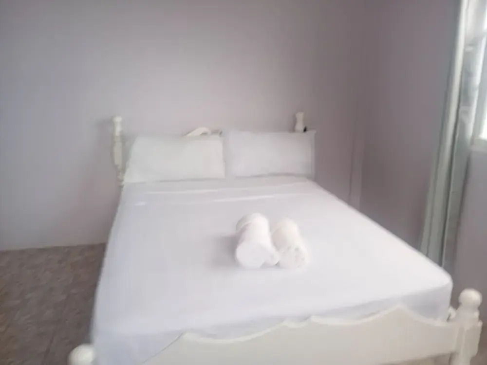 Pinard's Mountain Resort Vacation Home- Apt 2