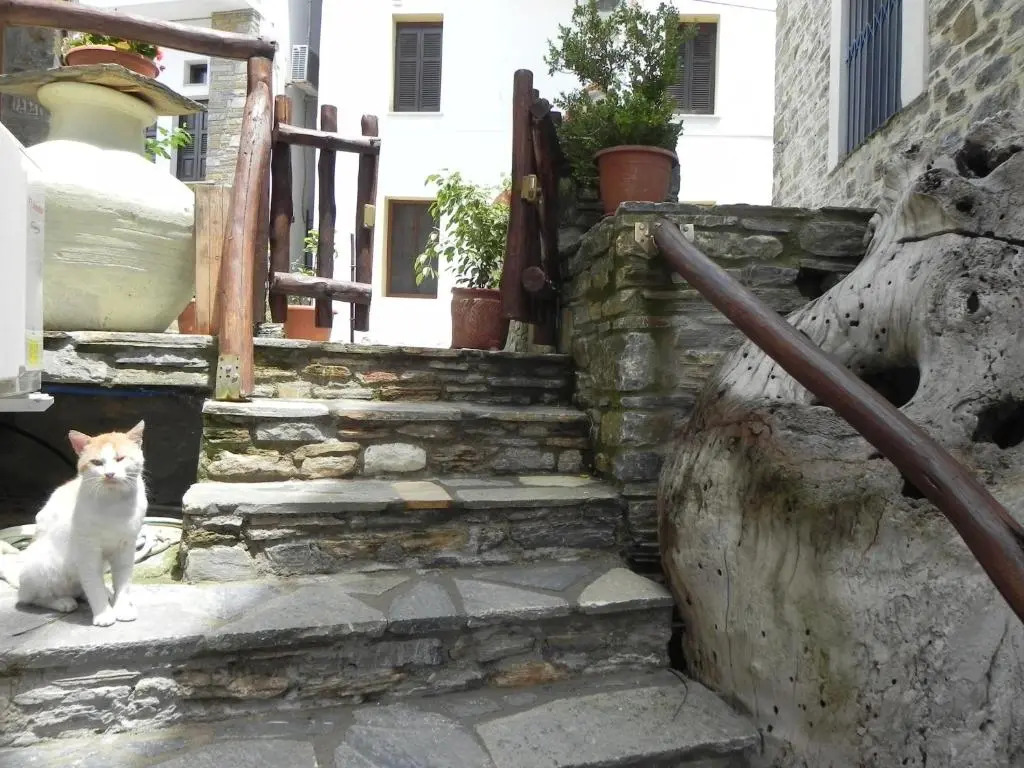 Guest House "Aspasia" Ξενωνας Ασπασια