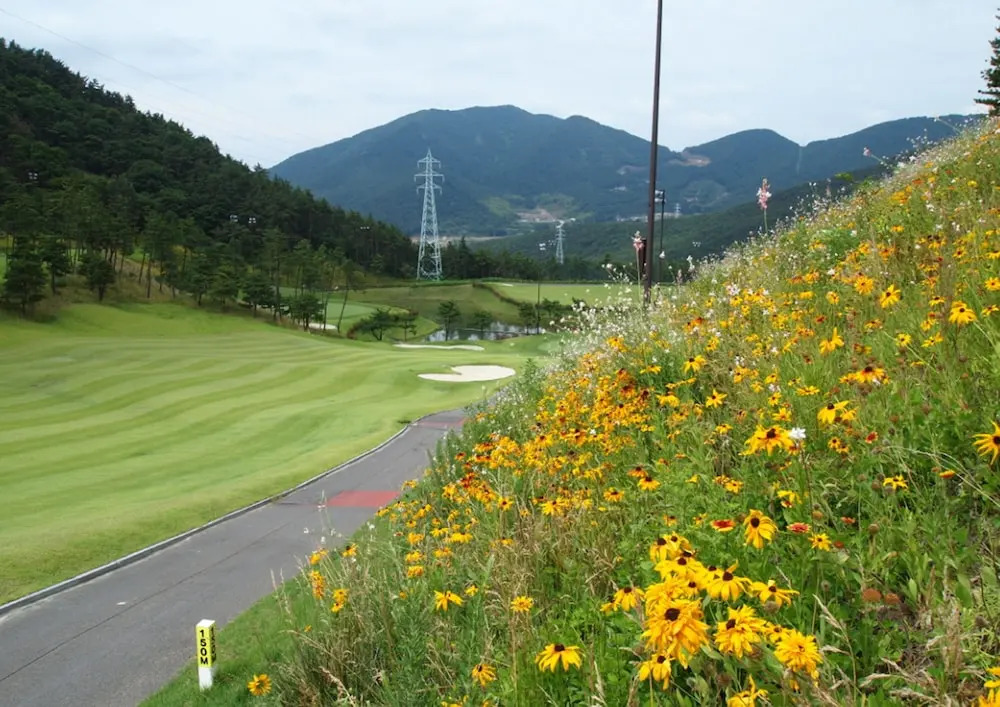 Geoje View Golf-tel