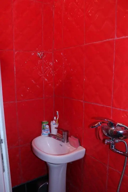 Comfortable Flat In The Center Of Borjomi