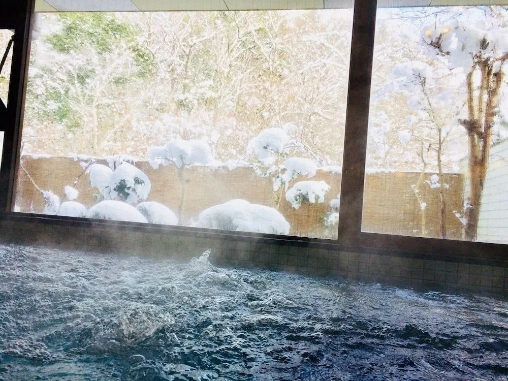 Dochu Land Shin Onsen