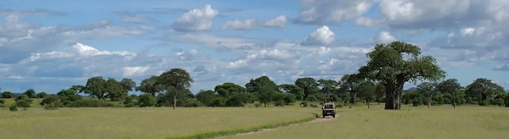 Whistling Thorn Tented Camp