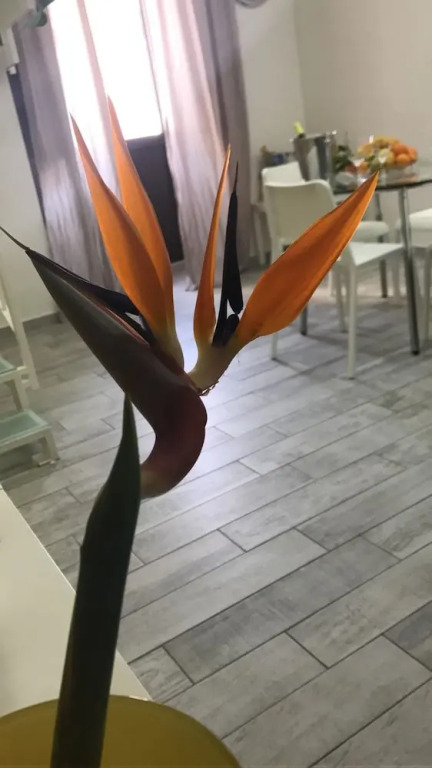 Apartment With one Bedroom in Catania, With Wonderful City View, Furni