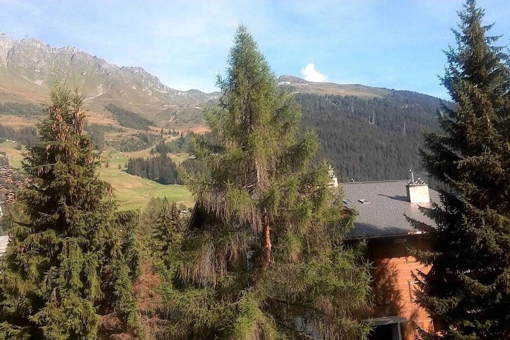 Modern 3-bed Ski/summer Apartment, Verbier, Swiss