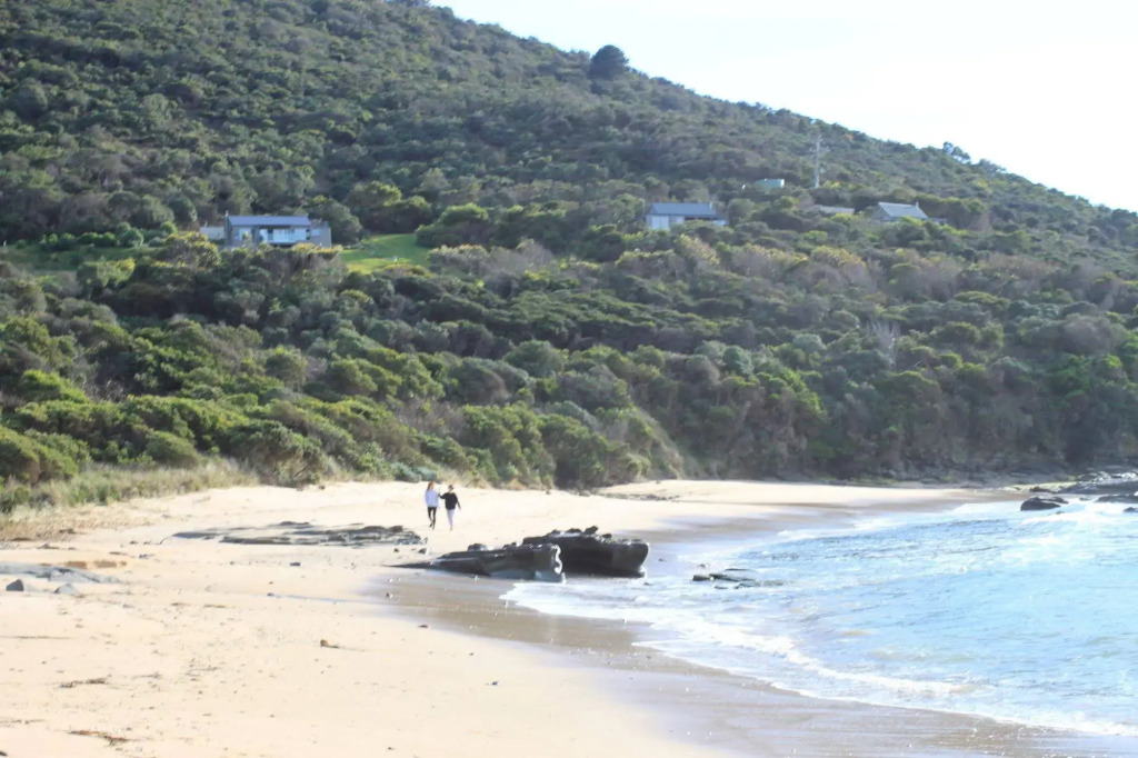 Points South By The Sea