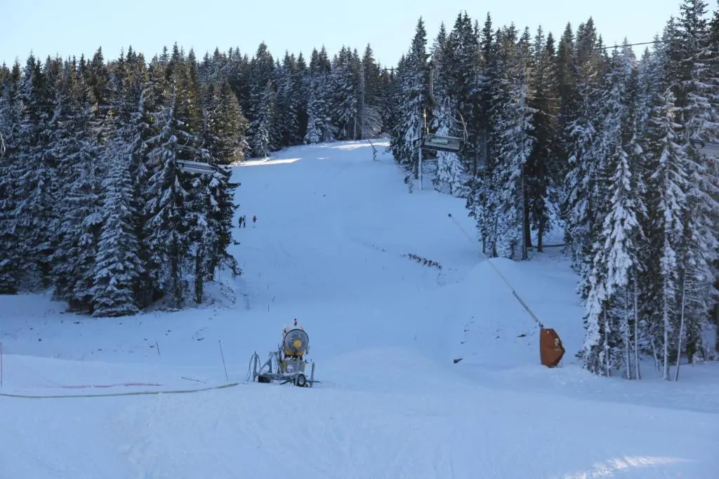 Kopaonik011 Konaci&WoodSide Apartments