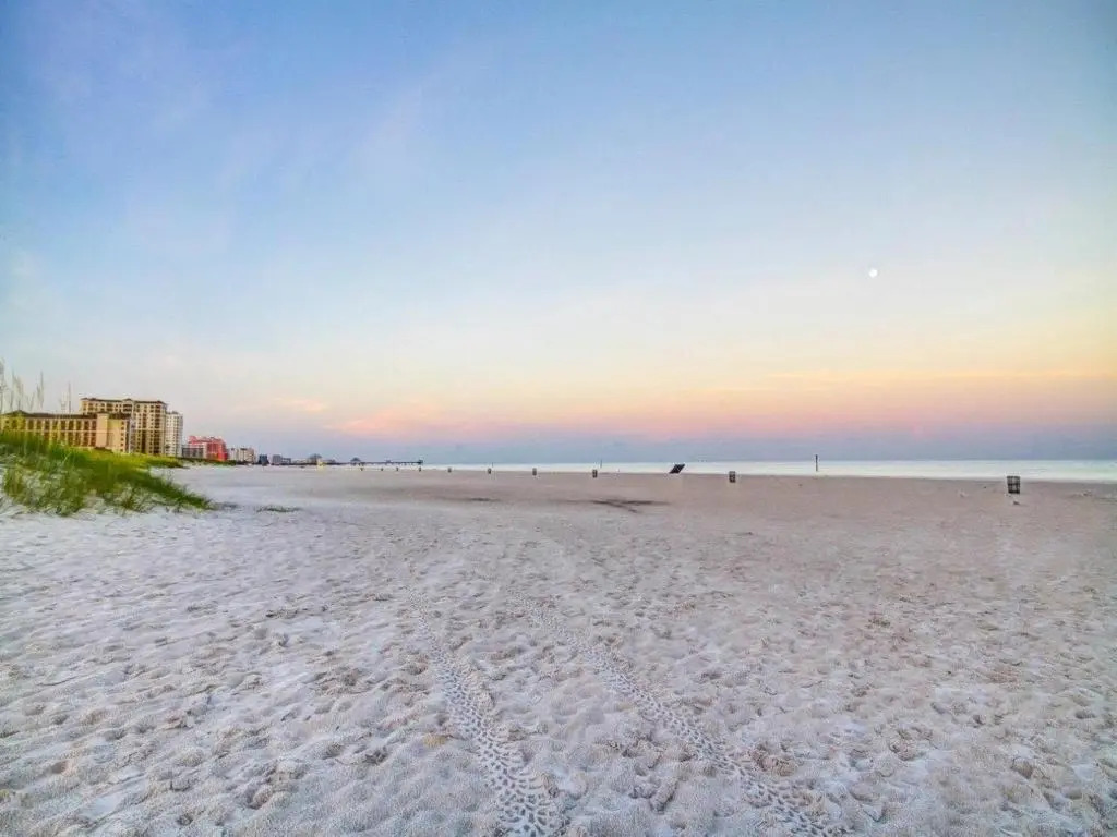 Surfside Condos 202