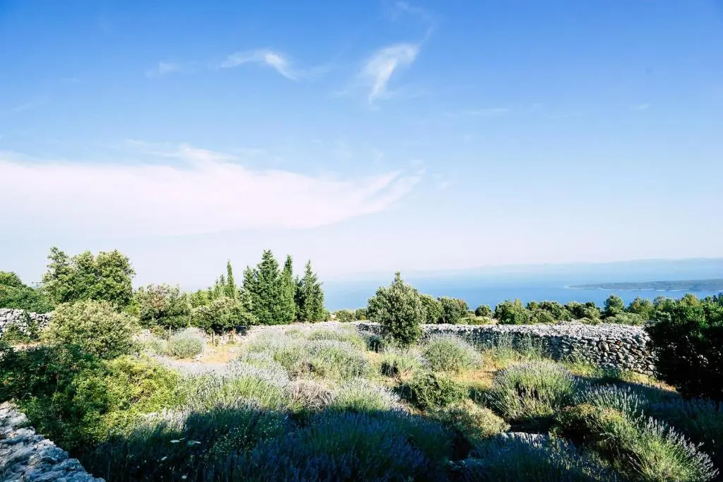 Sea View Villa with Tennis Court - Dvori sv Jurja