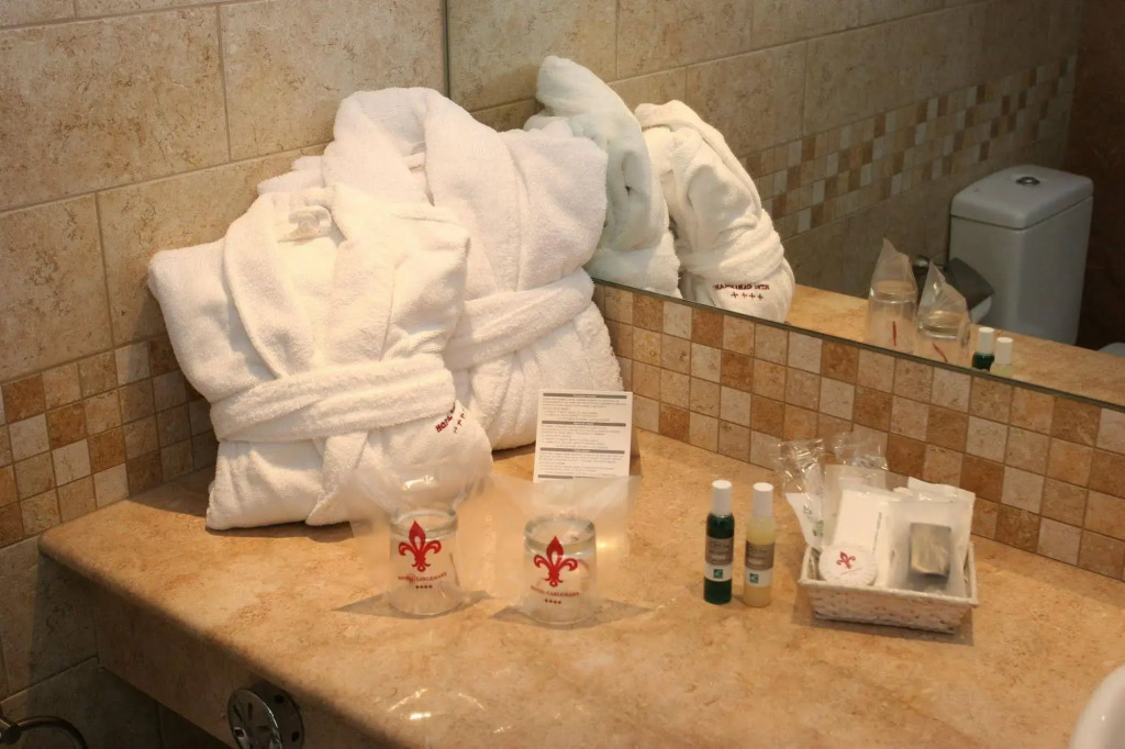 Hotel Spa Termes Carlemany
