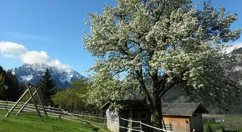 Berghof Thurnergut