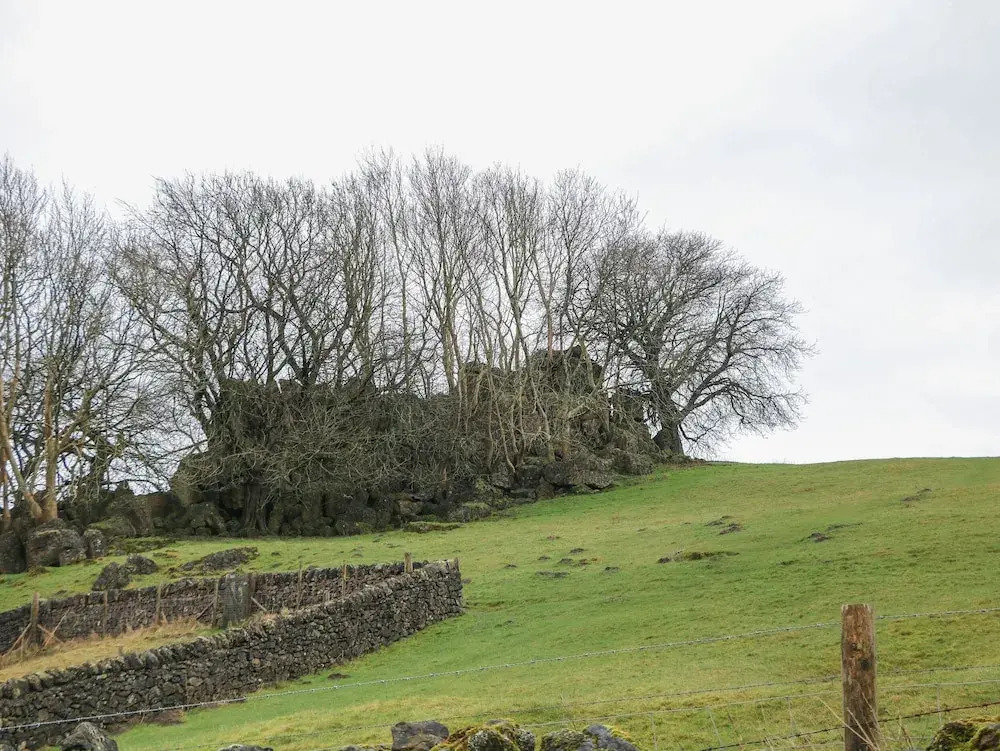 Tor Barn