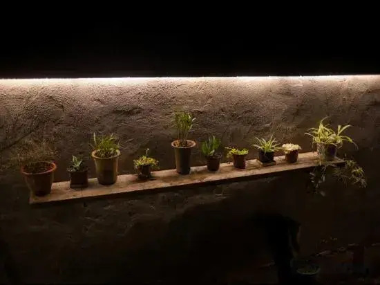 Deying Mountain House