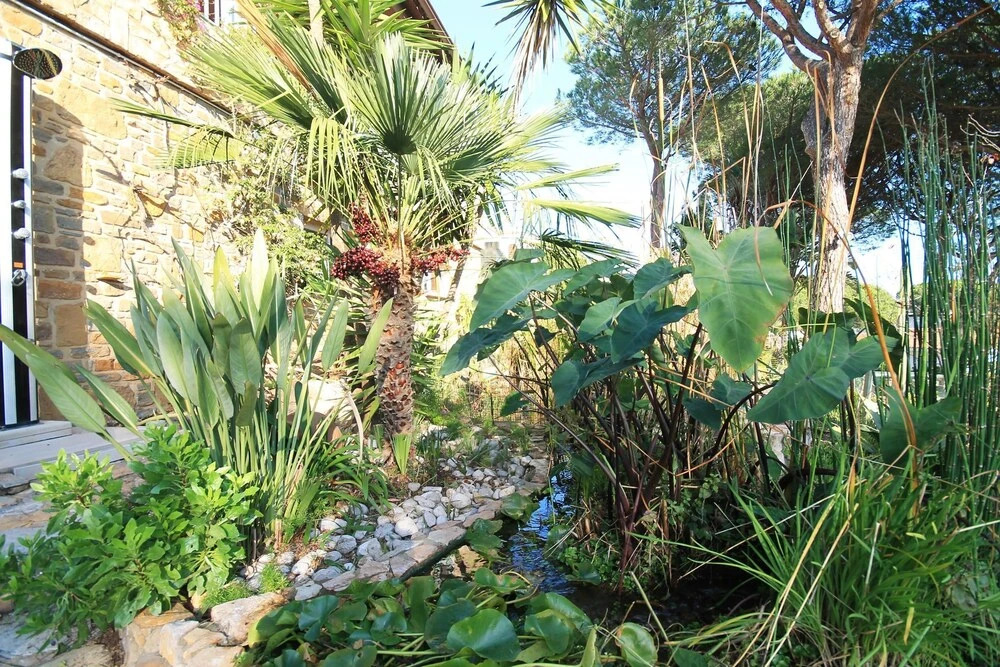 Tropicana