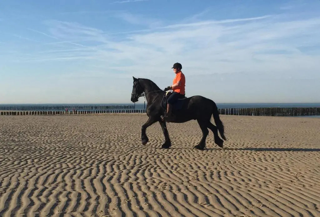 Dn Wasschappelsen Engel Windkracht 9 en Windkracht 10