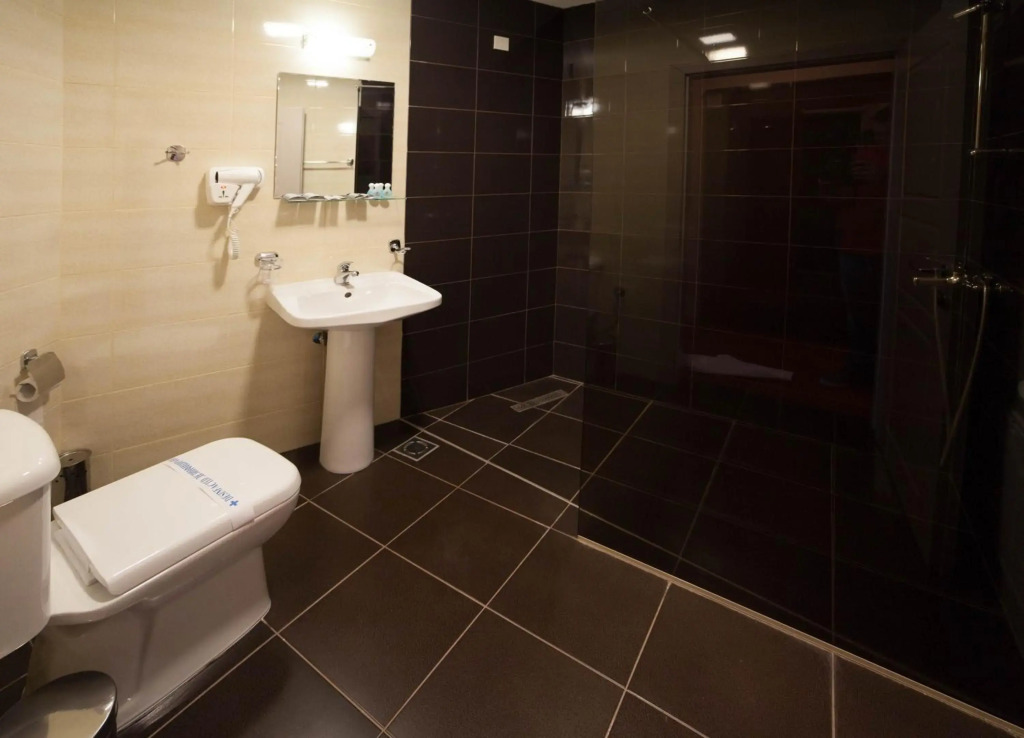 Hotel Lebed