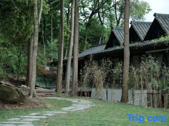Qingcheng Mountain Just on the Stream · Mountain Stream Bamboo Forest Private Soup B&B