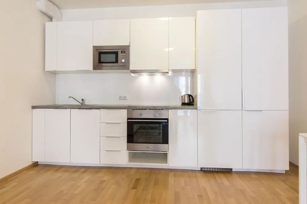 New Modern Apartment with Zizkov Parking