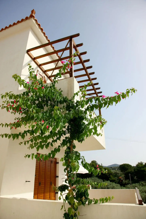 Skopelos Summer Homes