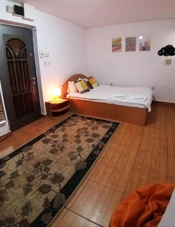 Ultracentral Lozonschi Apartament