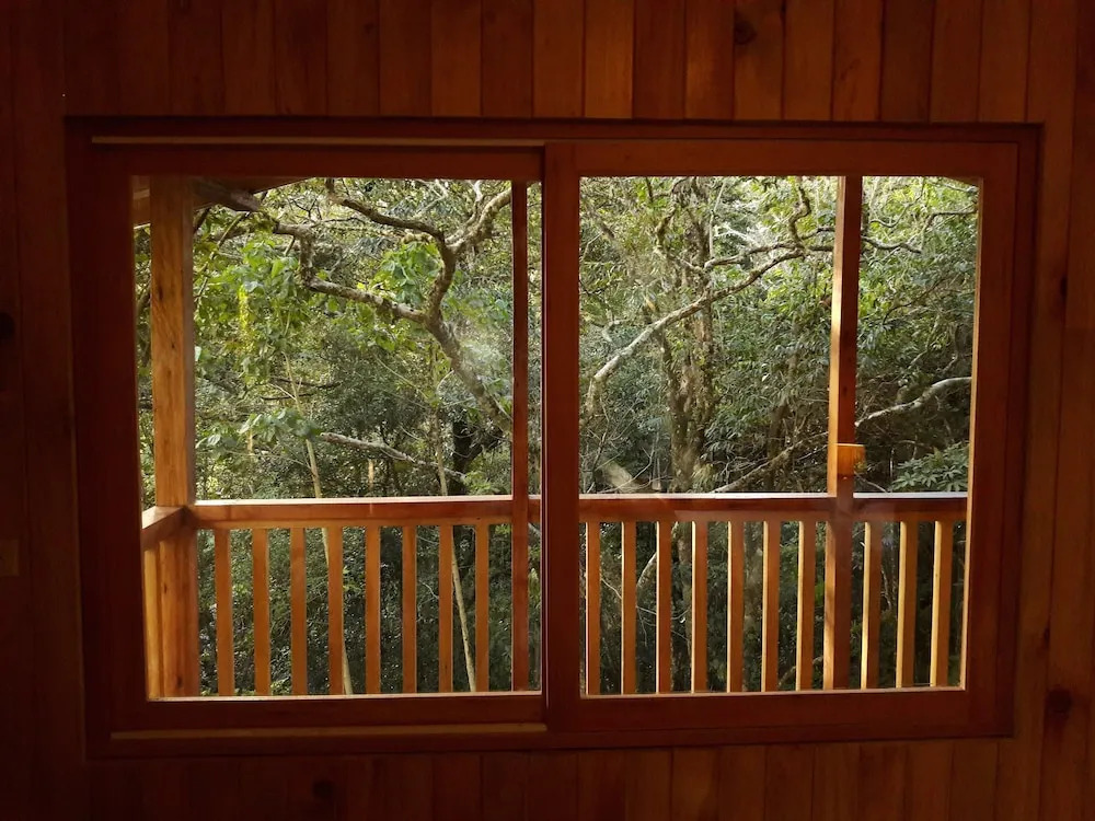 Mount Totumas Cloud Forest