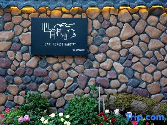 Heart of Forest Homestay