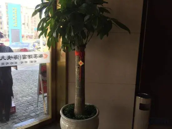 Sixiang Fortune Hotel