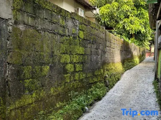 Fins Villa Medewi