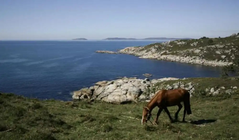 Pontevedra 100075 3 Bedroom Holiday home By Mo Rentals