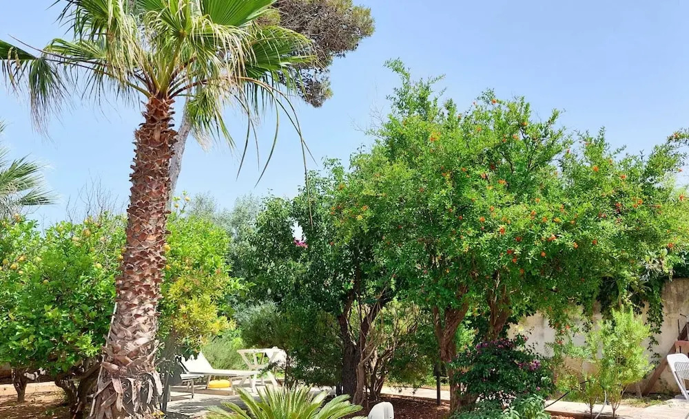 Zio Michele Valderice - Sicilian Country Villa
