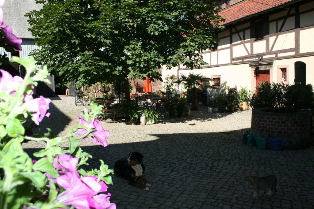 Auszeithof Niederfrohna
