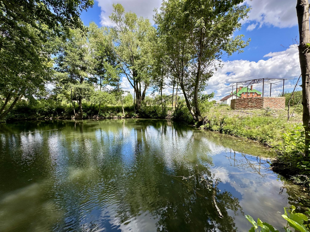 Зеленая крыша