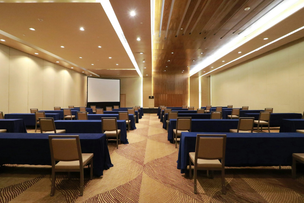 MS Milenium Monterrey Curio Collection by Hilton
