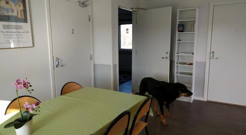 Olseröds Hundcenter