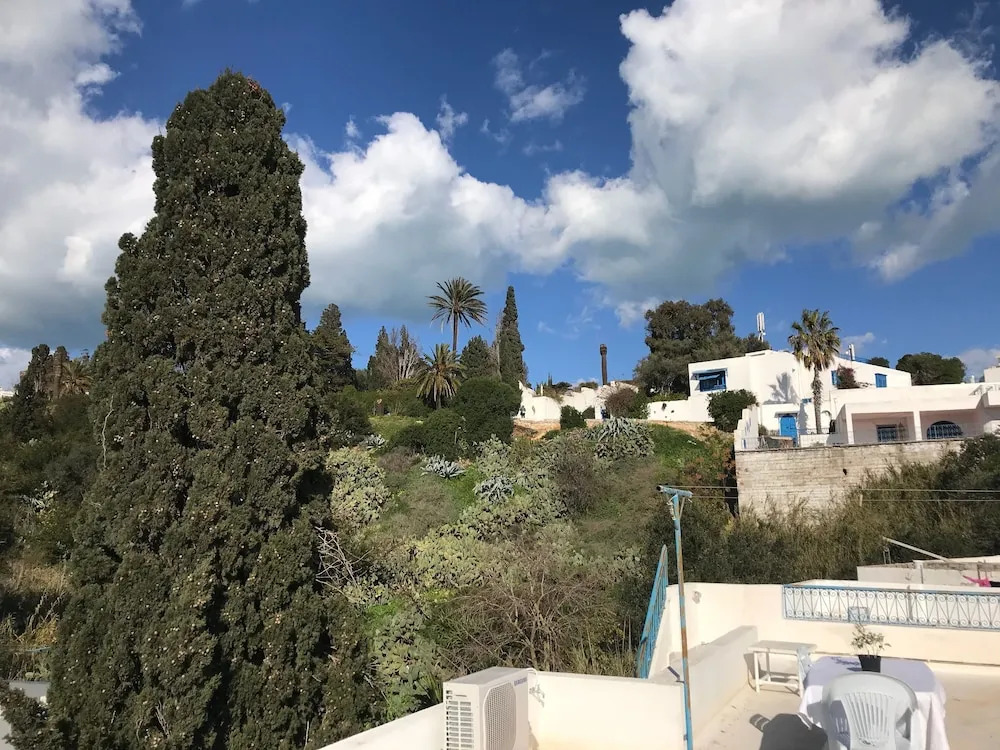 Cosy S3 Apartment in Sidi Bou Said Village