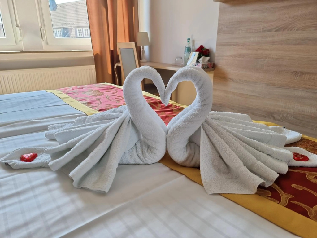 Hotel Medebach - Zum Schwanenkönig