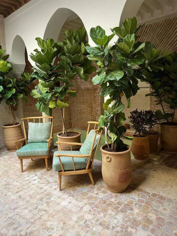 Riad Alena