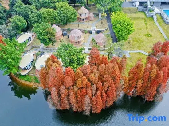 Xinsu 24li Resort