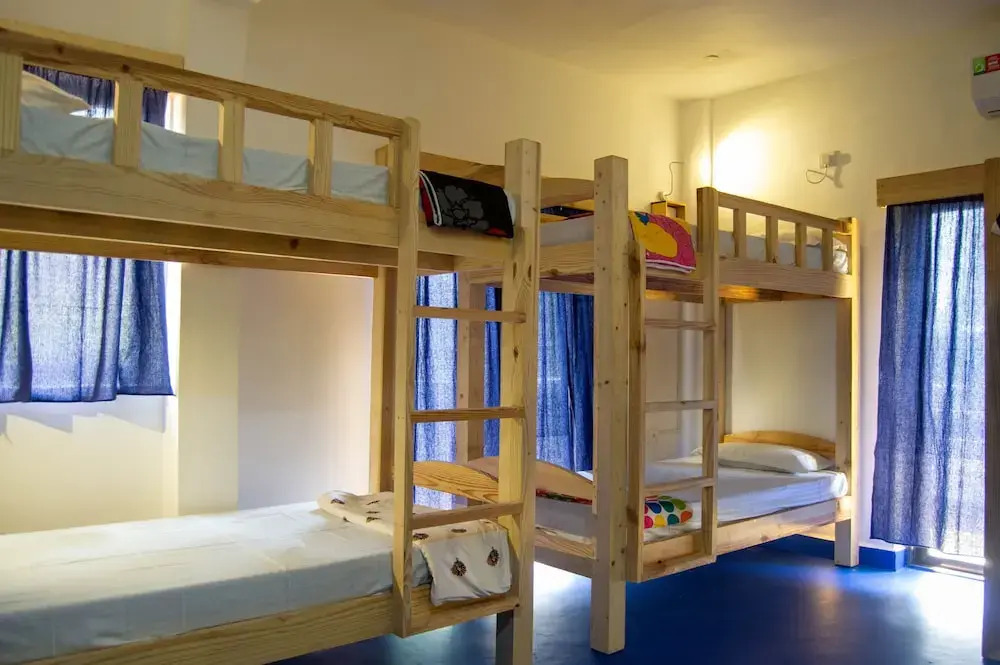 GREEN NEST HOSTEL - Anjuna , North Goa