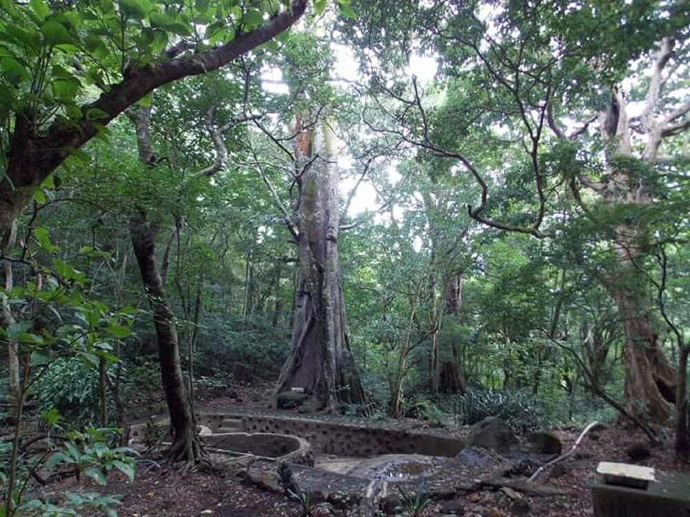 Talamanca 1, Your Budget Cabin Is Waiting For You At Juan Manuel National Park