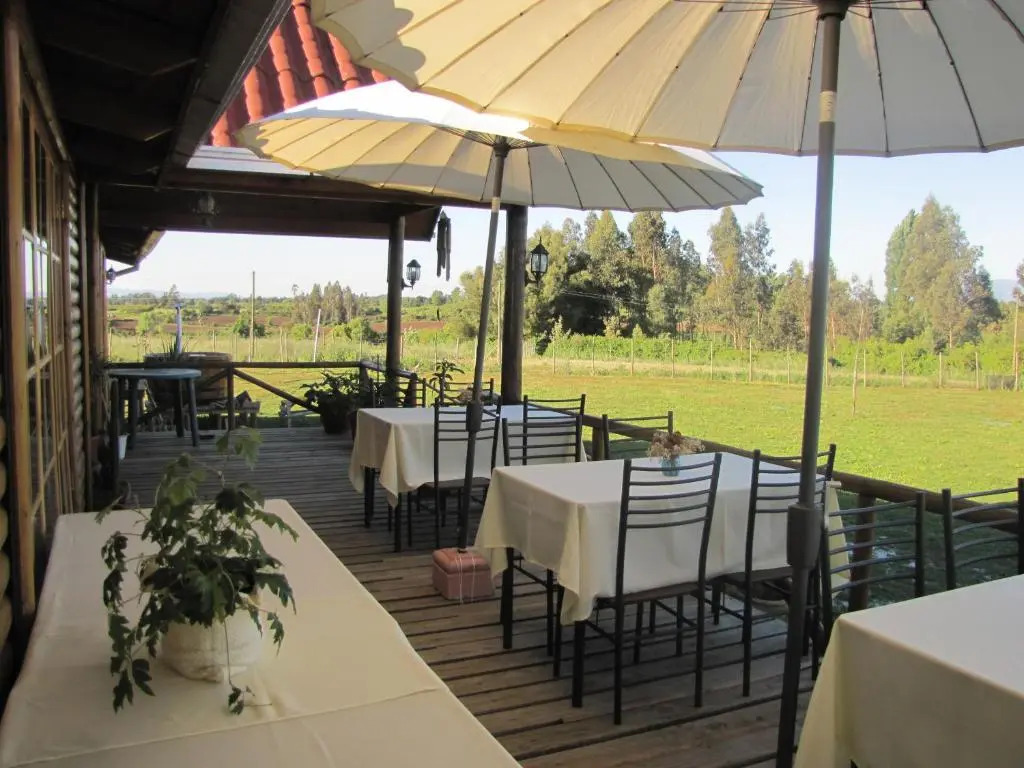B&B Shambala HN