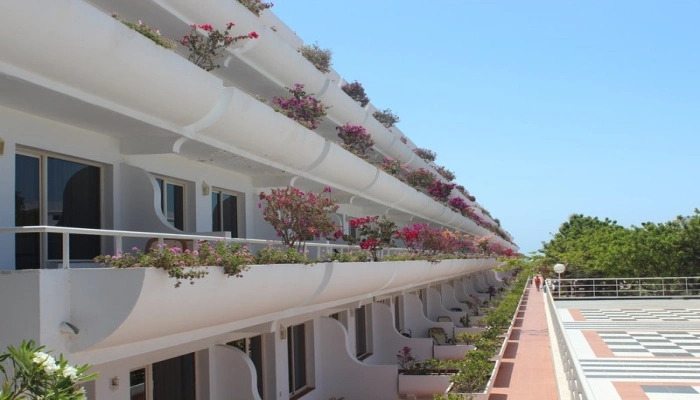 Barlovento