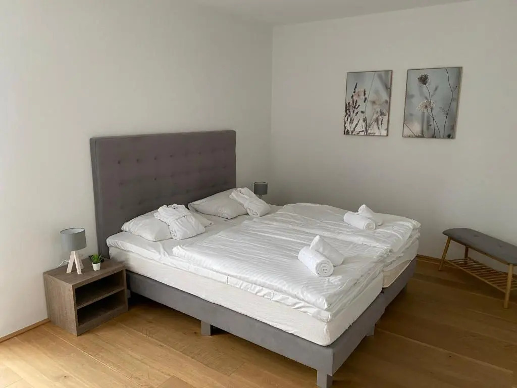 Residence Bellevue - incl Summercard