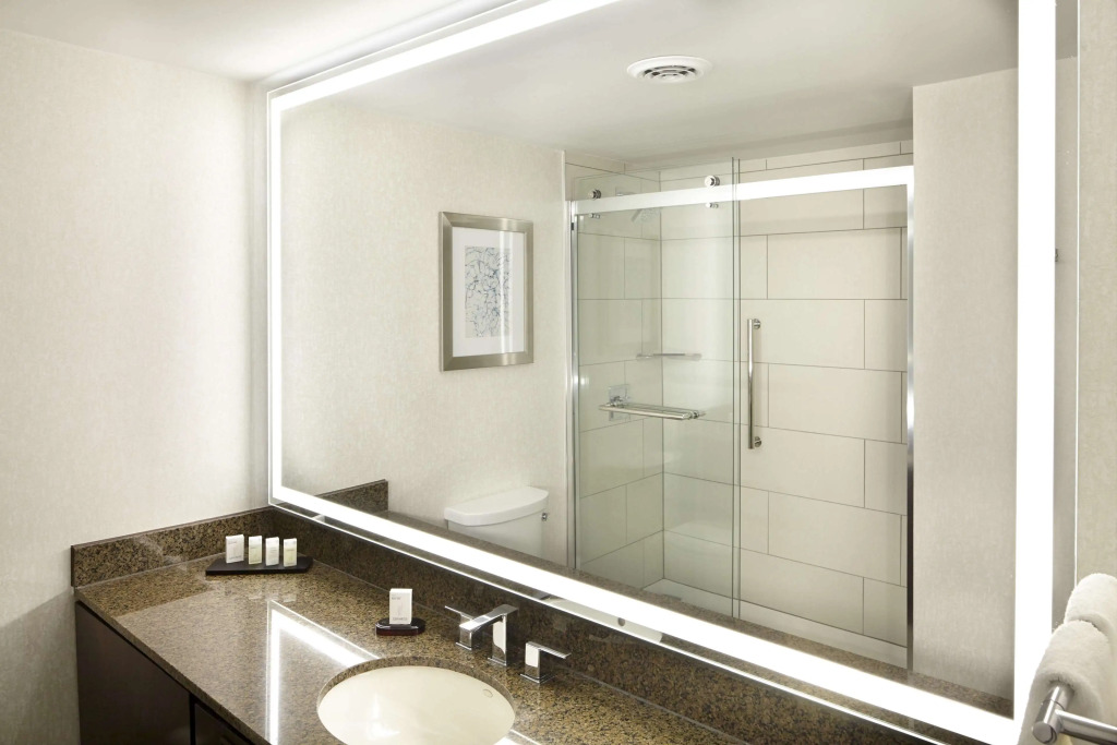 Embassy Suites by Hilton Atlanta Galleria