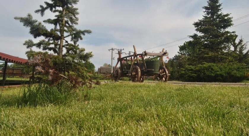 Lacul Racilor