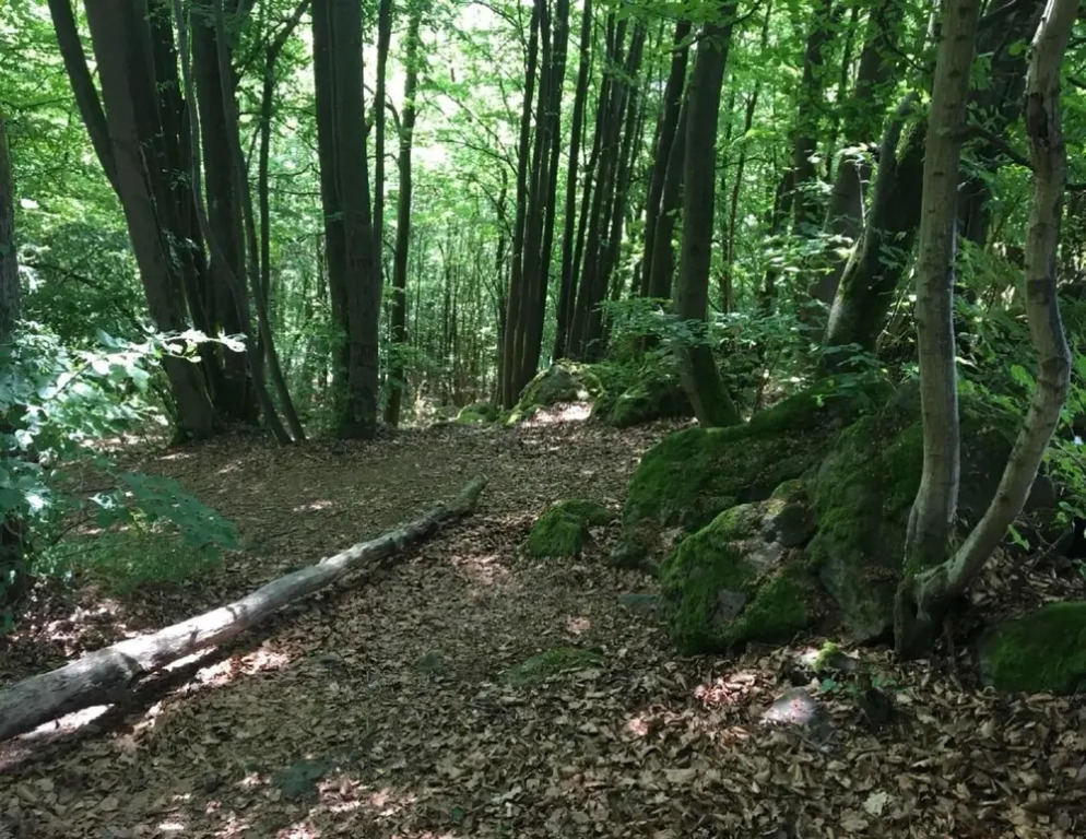 Holiday Flat With Terrace in the Westerwald