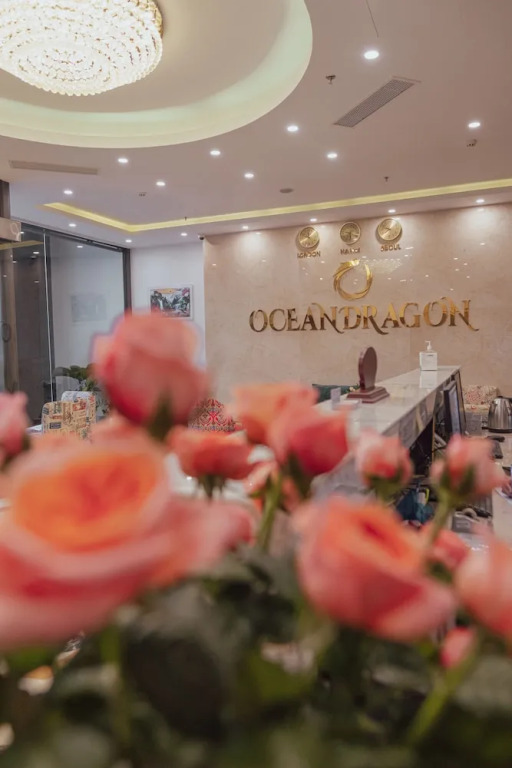 Ocean Dragon Hotel Halong